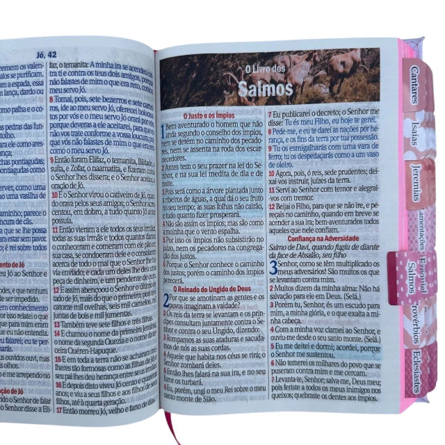 Kit Bíblia Mulher Virtuosa com Abas adesivas capa dura ARC + devocional + caneta + marca páginas