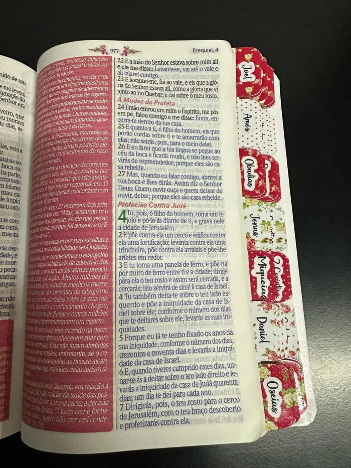 Bíblia Da Mulher Sábia - ESTUDO