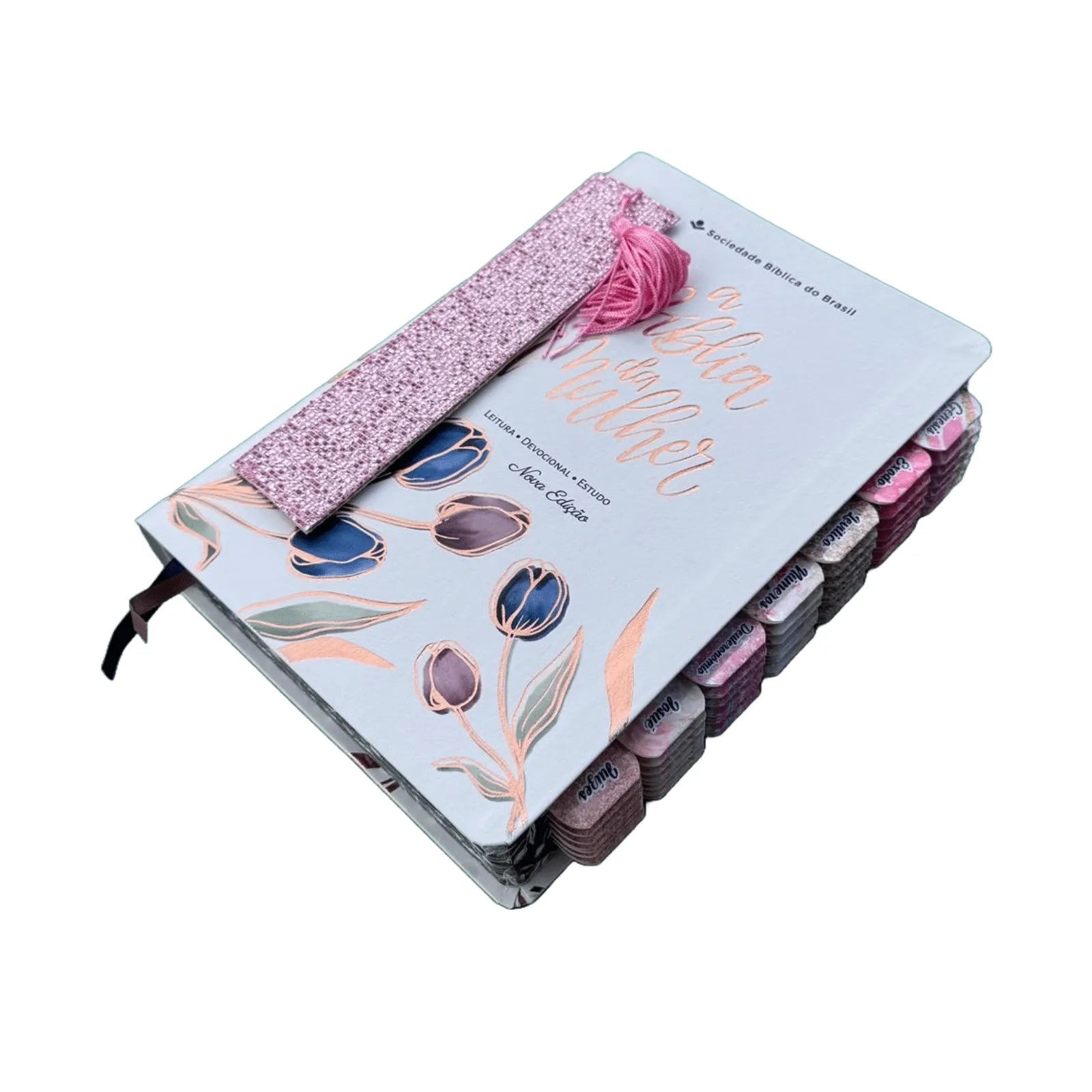 Bíblia de Estudos do Homem Sábio Leão Perfil com Abas adesivas