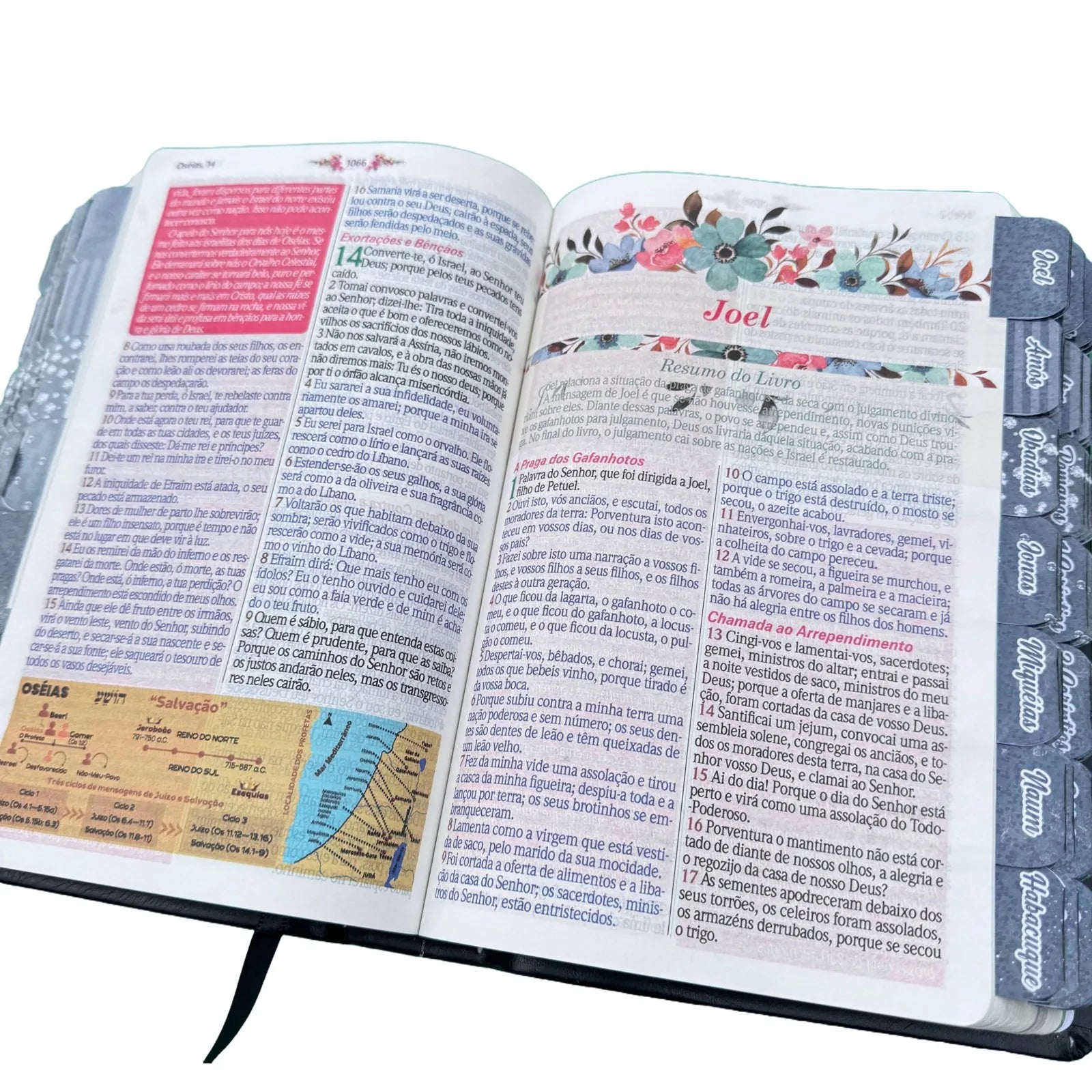 Bíblia Glitter Rosa 100% Mulher Sábia de Estudos Escolhida por Deus Full Color e Indice