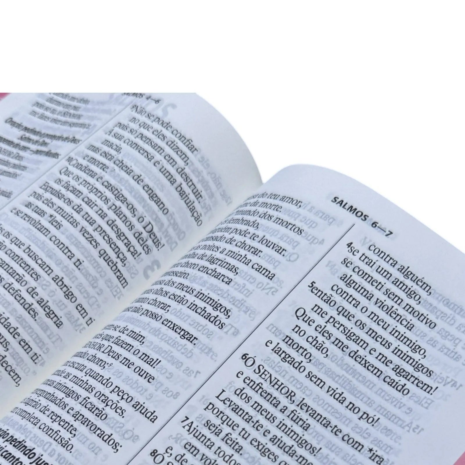 Biblia Sagrada Capa de Luxo Preta