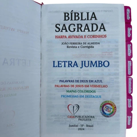 Kit Bíblia Jumbo 100% Glitter Pink com Abas adesivas e Pingente Cp dura Acolchoada + caneta + devocional